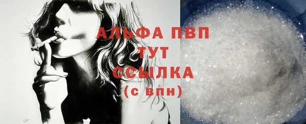 хмурый Белокуриха