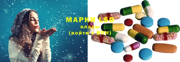 индика Белоозёрский
