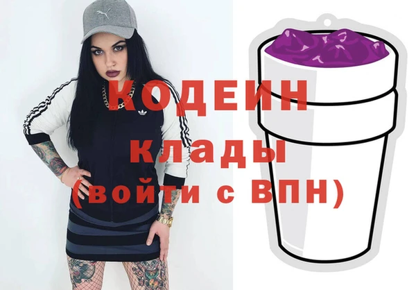 хмурый Белокуриха