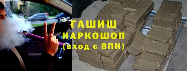 хмурый Белокуриха