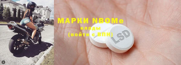 хмурый Белокуриха