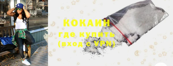 хмурый Белокуриха