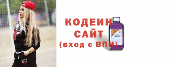 хмурый Белокуриха