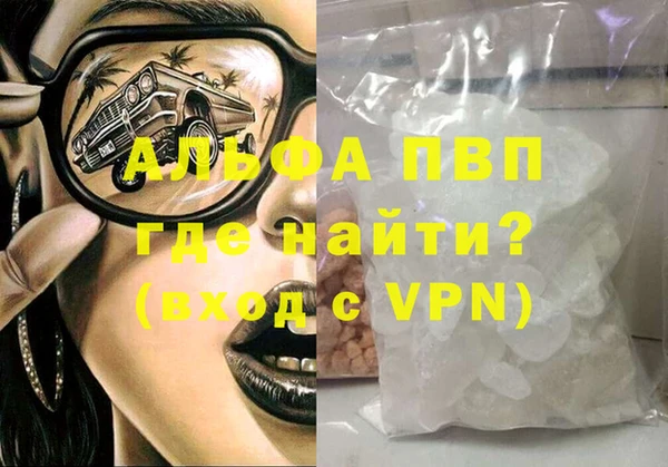 хмурый Белокуриха