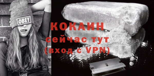 хмурый Белокуриха