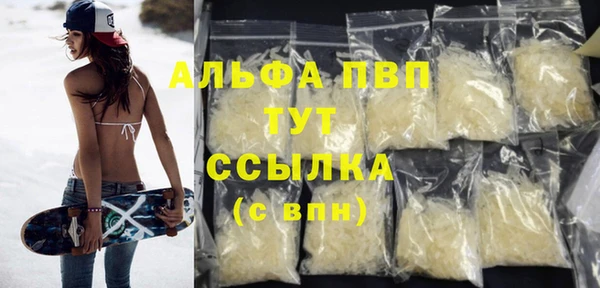 индика Белоозёрский