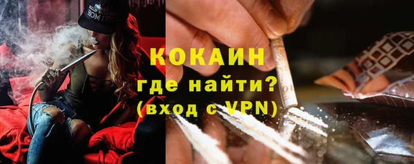 индика Белоозёрский