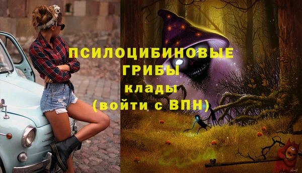индика Белоозёрский