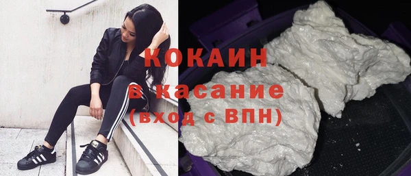 индика Белоозёрский