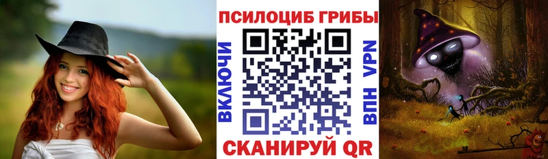 купить  цена  Вельск  Галлюциногенные грибы Psilocybe 